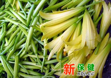 鮮黃花菜