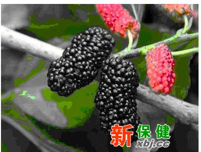 桑葚潤(rùn)腸通便