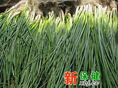 冬季吃蔥可驅寒,蔥要如何選,蔥