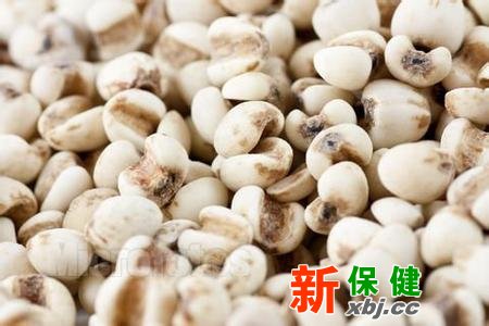 薏仁