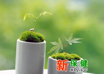 皇帝養(yǎng)生秘訣