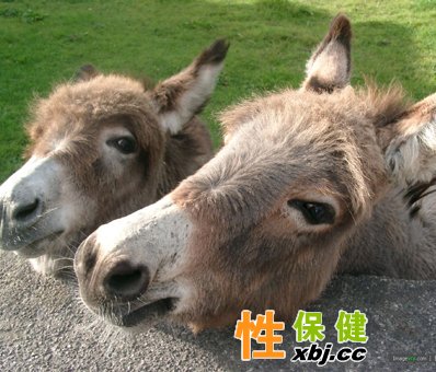 絕望是希望的墊腳石