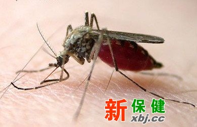 防蚊蟲叮咬
